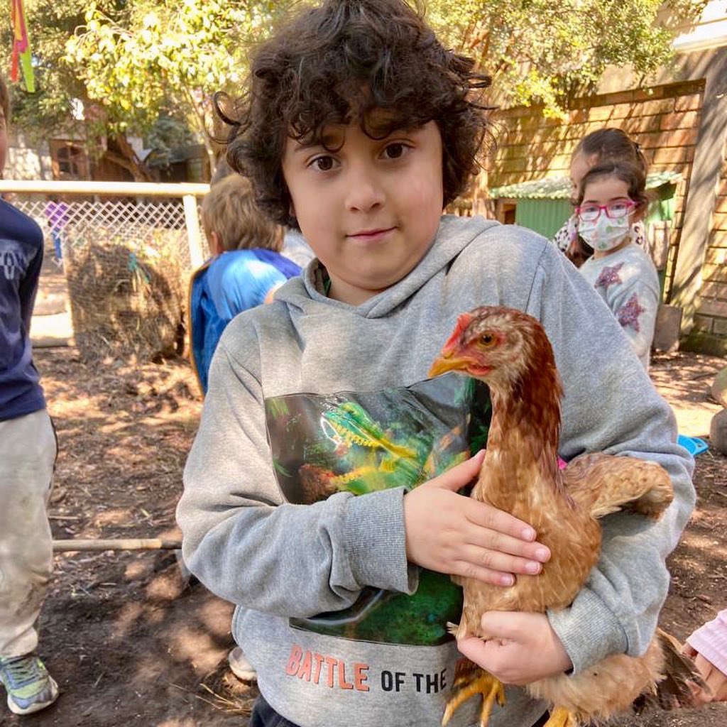 Niño sosteniendo una gallina