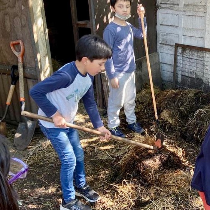 Niño trabajando la tierra con una pala en la huerta